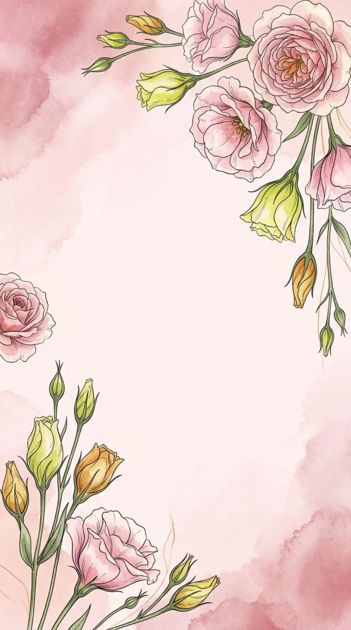 Lisianthus Blush