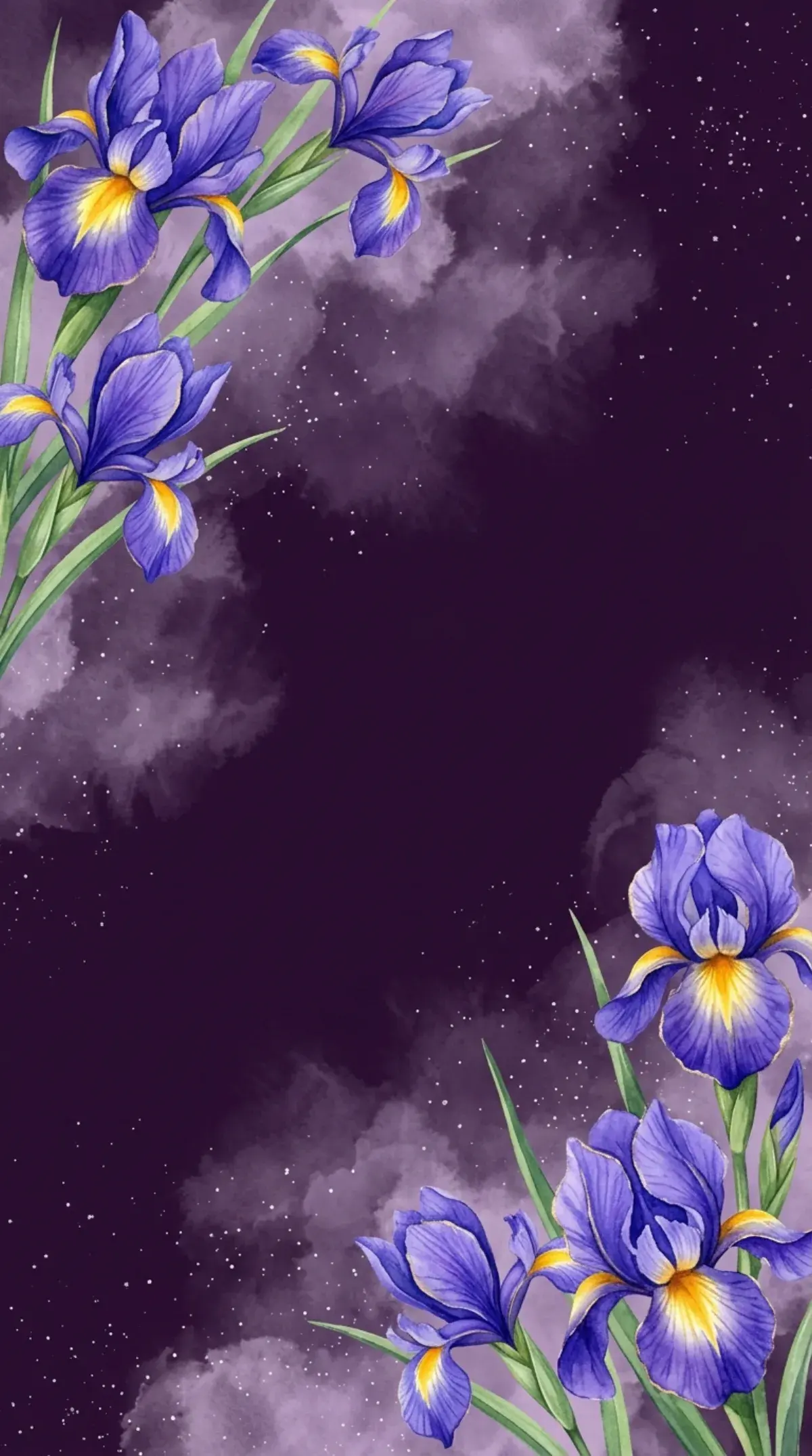 Midnight Iris